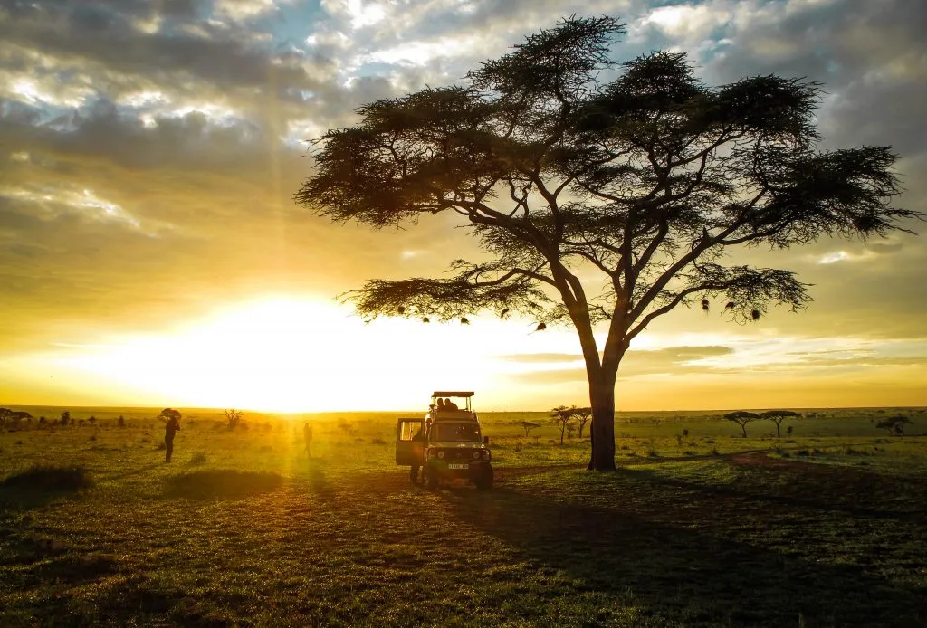 Uganda Wildlife Safari