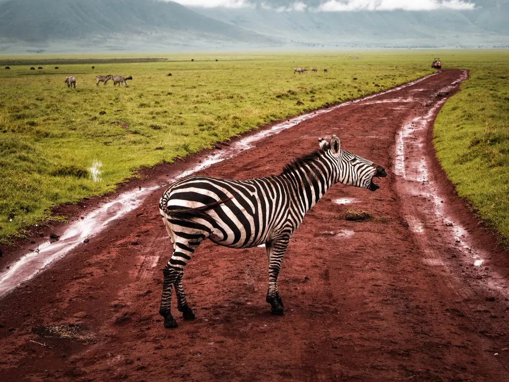 Enchanted Uganda Safaris - Landscape
